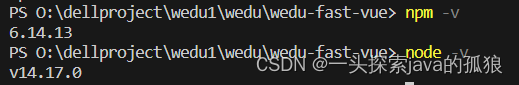 npm WARN npm npm does not support Node.js v14.17.0 npm WARN npm You should probably upgrade to a new,在这里插入图片描述,第8张