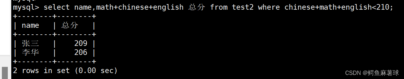 【MySQL】表的增删改查——MySQL基本查询、数据库表的创建、表的读取、表的更新、表的删除,在这里插入图片描述,第21张