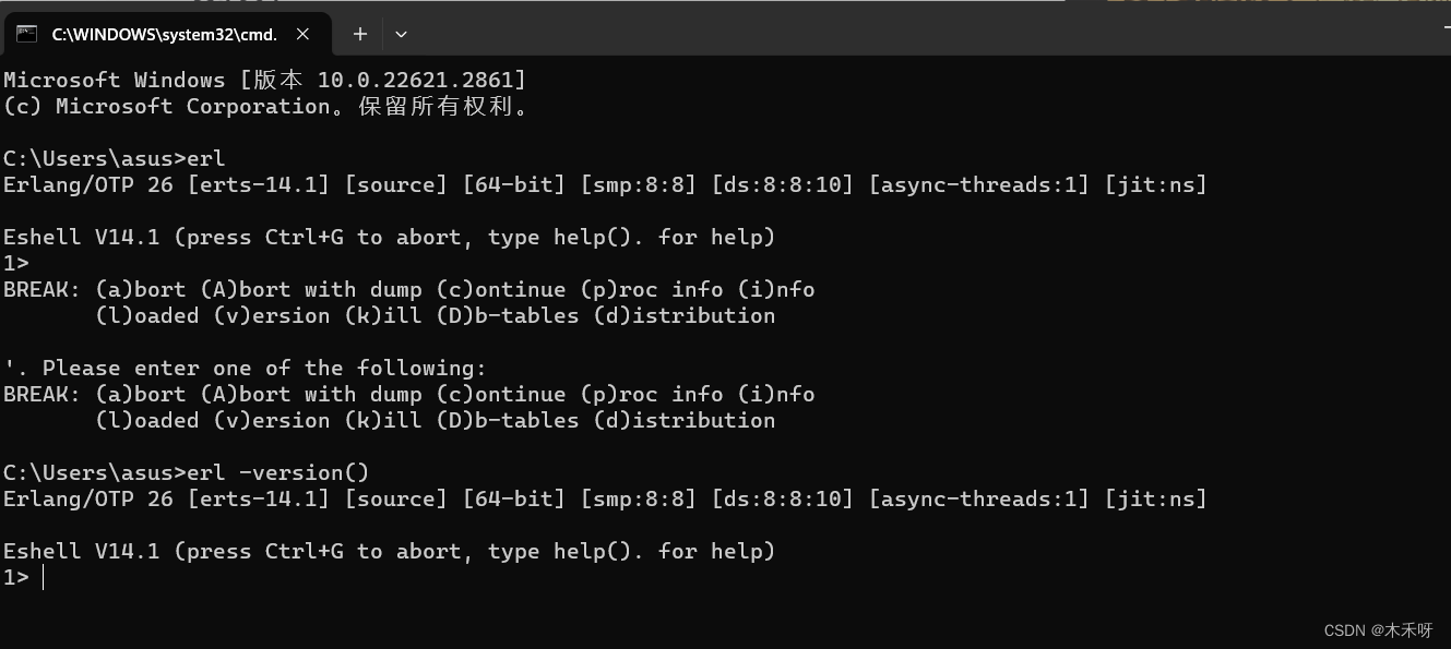 Erlang、RabbitMQ下载与安装教程（windows超详细）,第7张