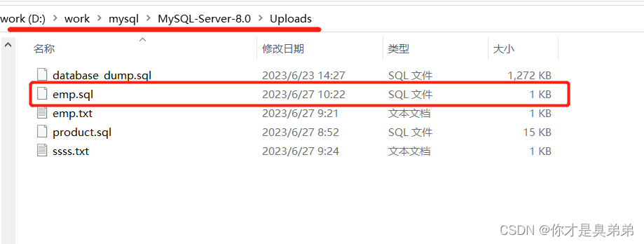 【MySQL】数据备份(导出数据导入数据),第3张