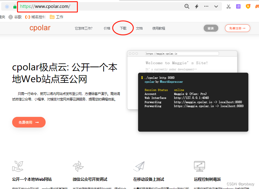 如何使用PHPStudy+Cloudreve搭建个人云盘并实现无公网IP远程访问——“cpolar内网穿透”,图表 21,第21张