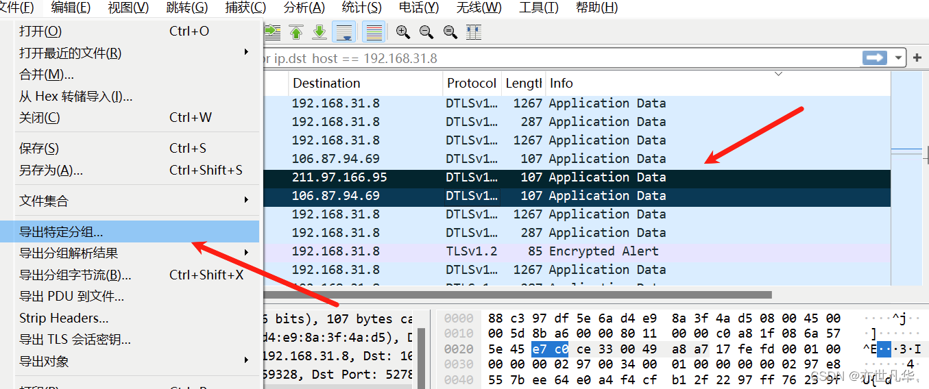 WireShark 安装指南：详细安装步骤和使用技巧,第35张