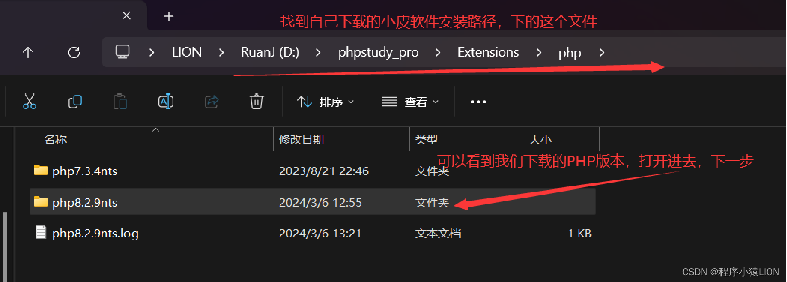 小皮软件PHPStudy搭建Laravel 10.X框架,第4张