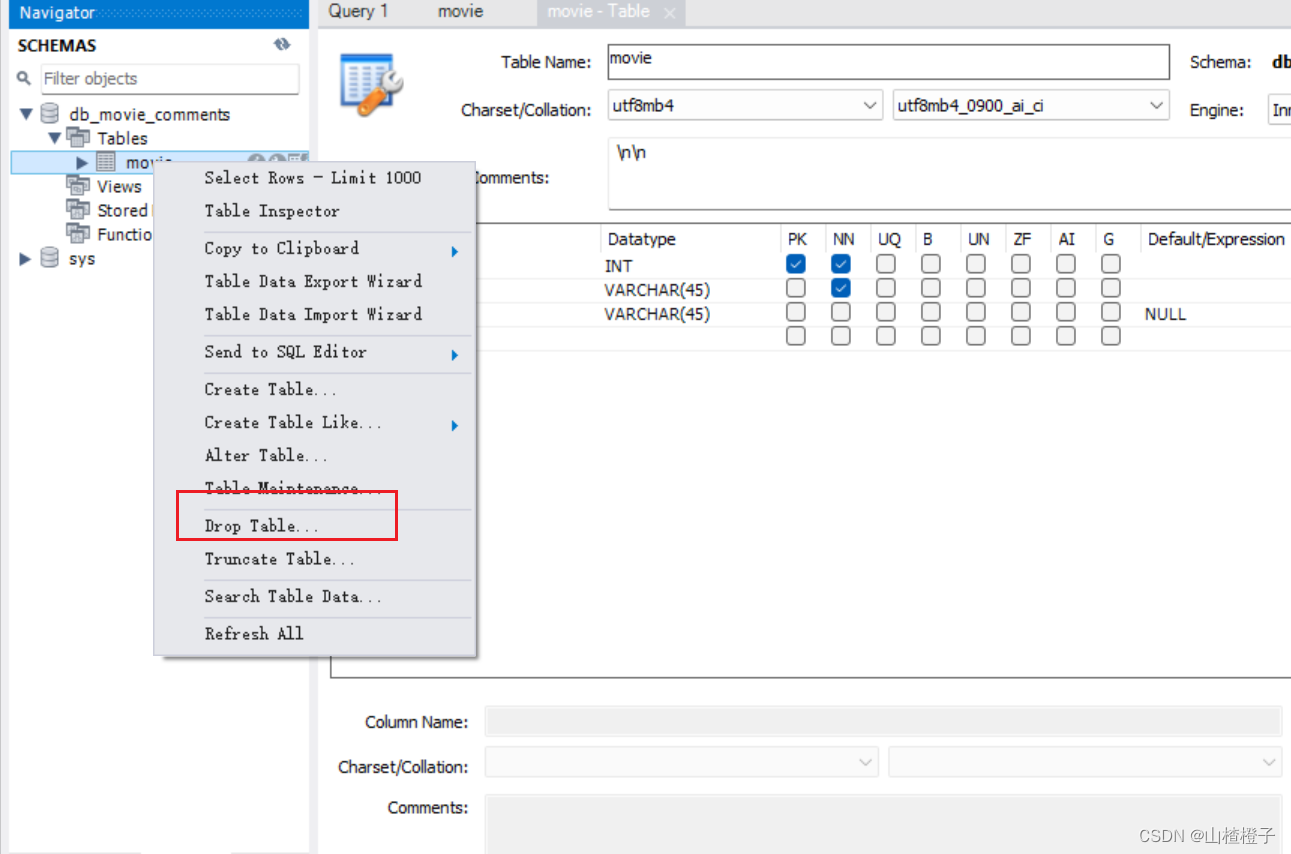 MySQL workbench使用教程（逐渐补充版）,第18张