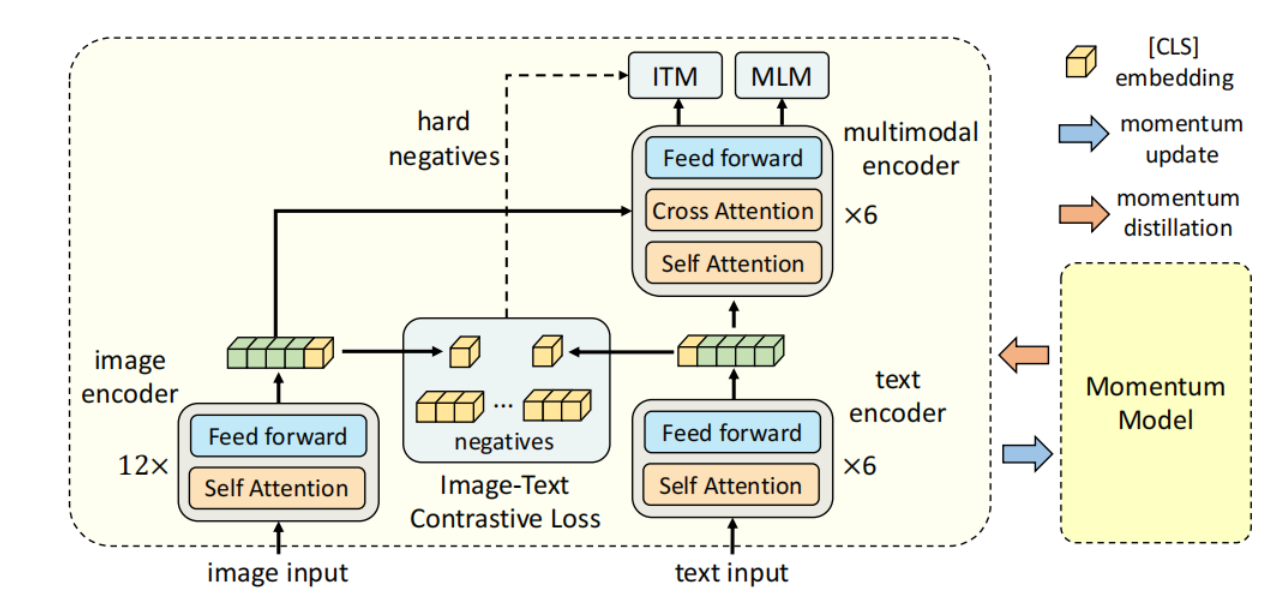 多模态之ALBEF—先对齐后融合，利用动量蒸馏学习视觉语言模型表征，学习细节理解与论文详细阅读：Align before Fuse,在这里插入图片描述,第1张