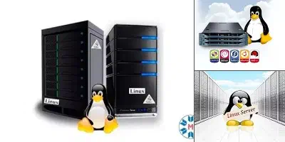 【Linux系列】Linux判断架构信息,在这里插入图片描述,第3张