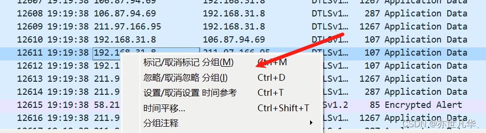 WireShark 安装指南：详细安装步骤和使用技巧,第32张