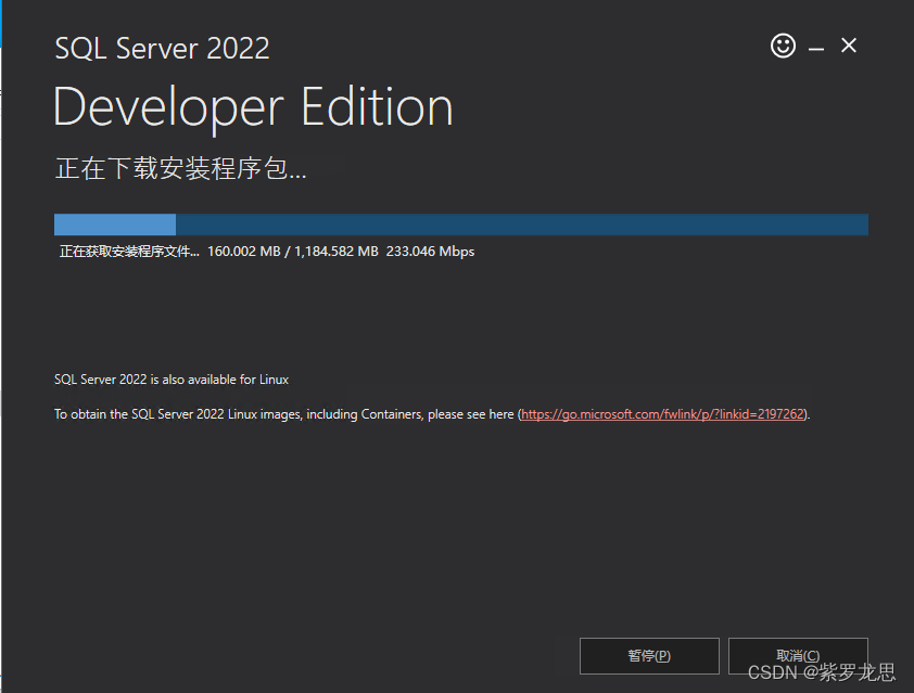 SQL Server2022版详细安装教程（Windows）,第5张