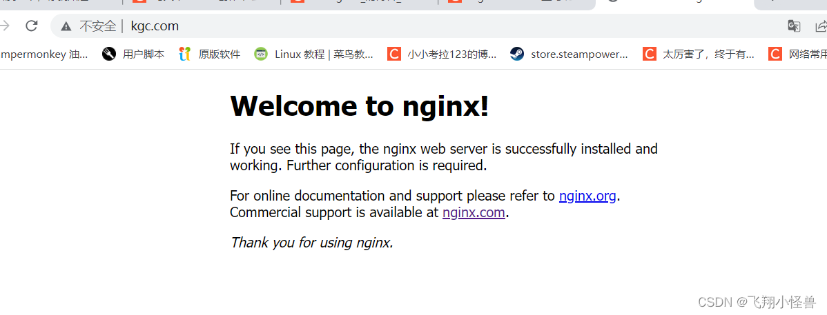 nginx Rewrite,第20张