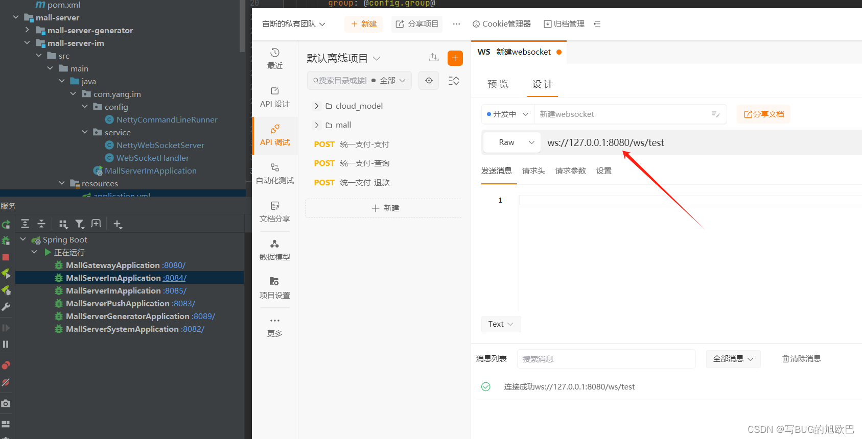 springCloudGateway+Nacos注册与转发Netty+WebSocket,第9张