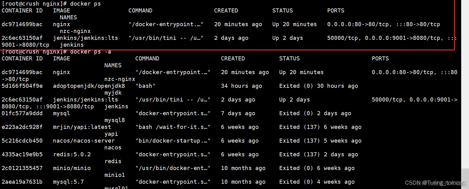 Docker 安装 Nginx 部署前端项目,第3张