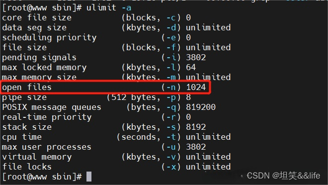 centos系列：【 全网最详细的安装配置Nginx，亲测可用，解决各种报错】,在这里插入图片描述,第4张