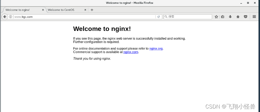 nginx Rewrite,第18张