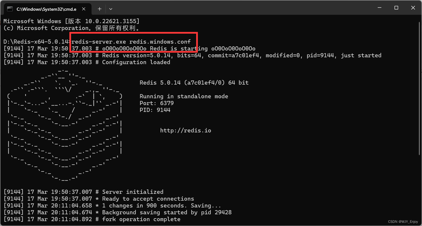 ruoyi-vue（若依前后端分离版本）环境搭建 用idea 安装redis 后端配置 配置node环境 前端配置,第5张