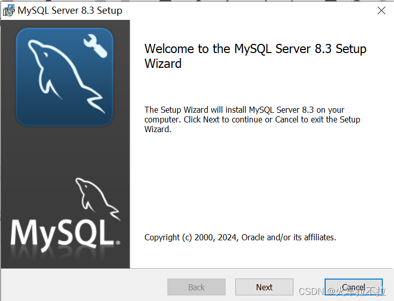 全网最简单的Mysql 8.3 安装及环境配置教程,在这里插入图片描述,第5张