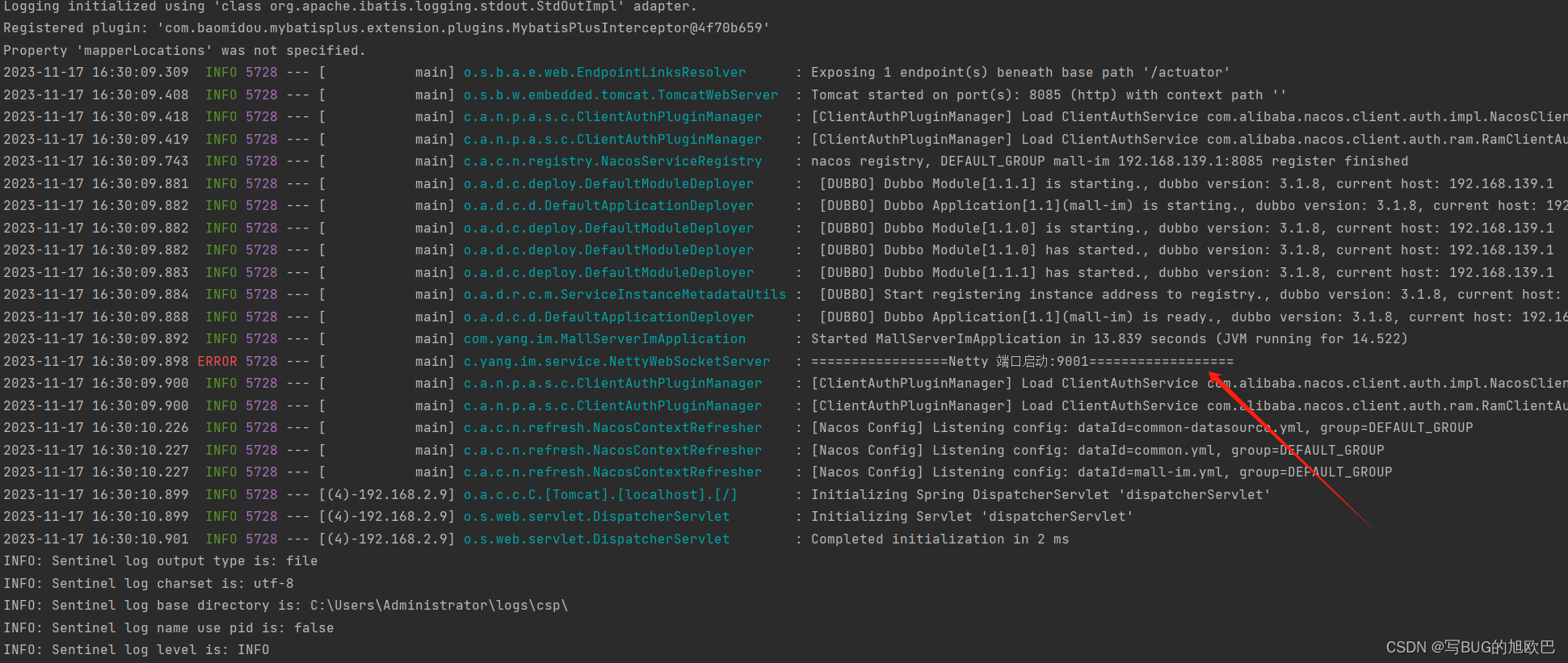 springCloudGateway+Nacos注册与转发Netty+WebSocket,第2张