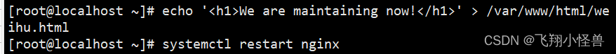 nginx Rewrite,第11张