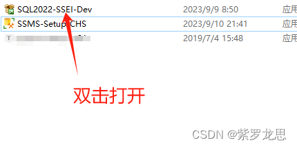 SQL Server2022版详细安装教程（Windows）,第2张