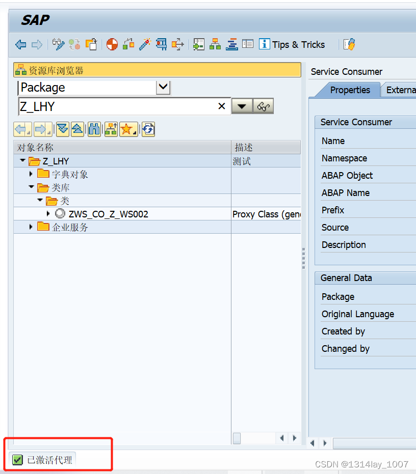 ABAP接口部分-Web Service提供者与消费者,在这里插入图片描述,第65张