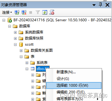 【SQL Server】2. 将数据导入导出到Excel表格当中,在这里插入图片描述,第23张