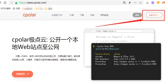 Windows搭建php文件管理服务Tiny File Manager并发布至公网可访问,img,第9张