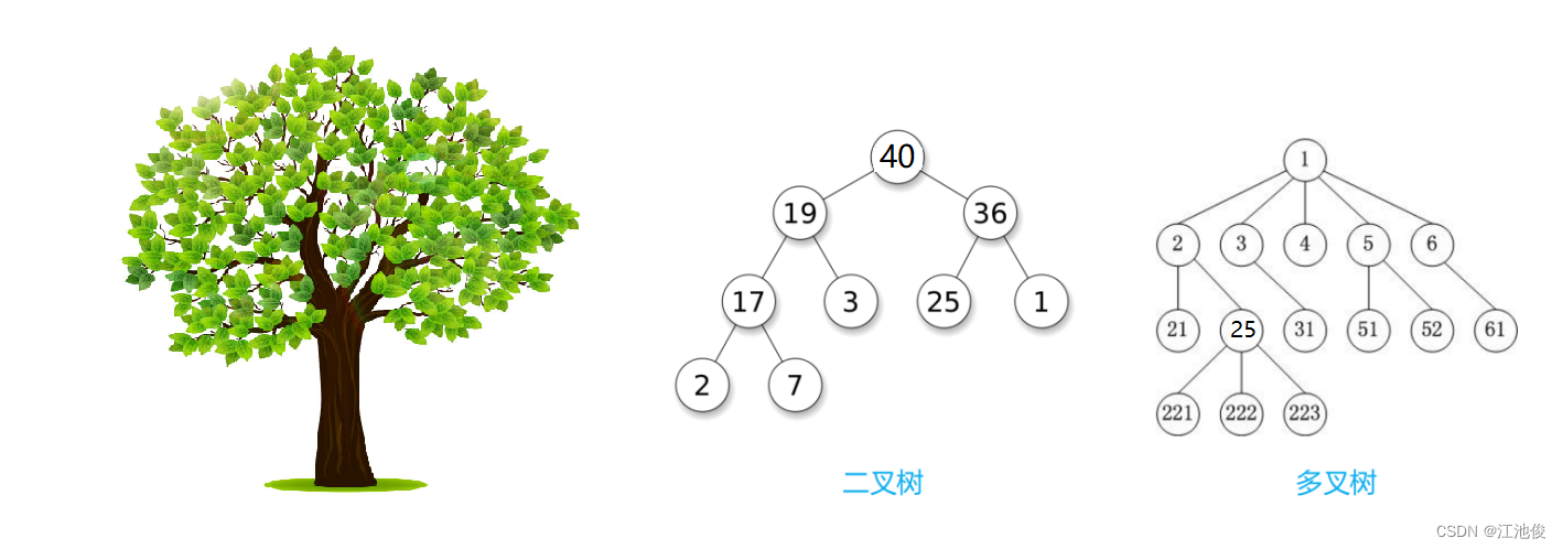 二叉树：数据结构中的灵魂,在这里插入图片描述,第3张