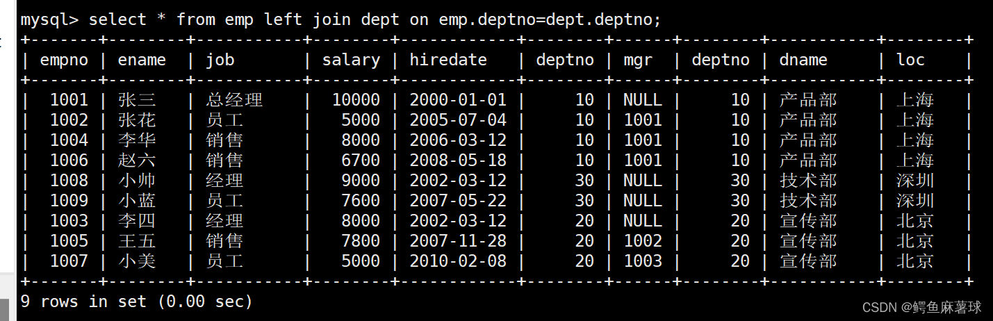 【MySQL】内外连接——内连接、外连接、左外连接、右外连接、内外连接的区别、左外连接和右外连接的区别,在这里插入图片描述,第9张