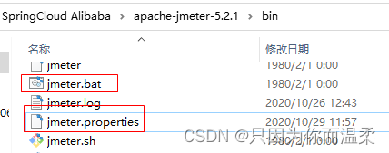 SpringCloudAlibaba常用组件,在这里插入图片描述,第25张