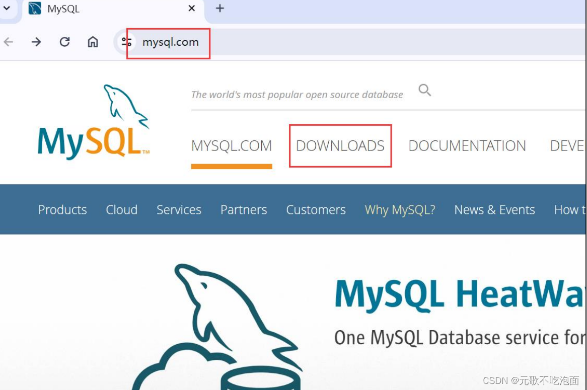 [MySQL]:详细MySQL8.0完整的下载安装教程,第1张