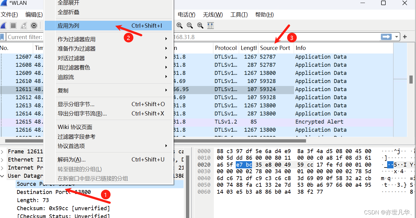 WireShark 安装指南：详细安装步骤和使用技巧,第29张