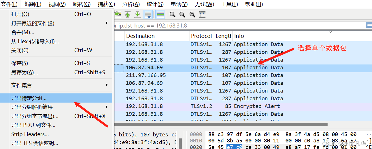 WireShark 安装指南：详细安装步骤和使用技巧,第33张