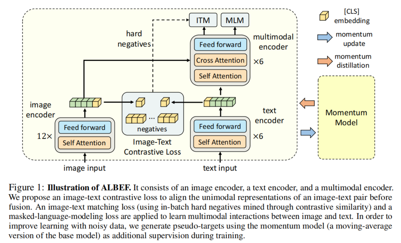 多模态之ALBEF—先对齐后融合，利用动量蒸馏学习视觉语言模型表征，学习细节理解与论文详细阅读：Align before Fuse,在这里插入图片描述,第4张