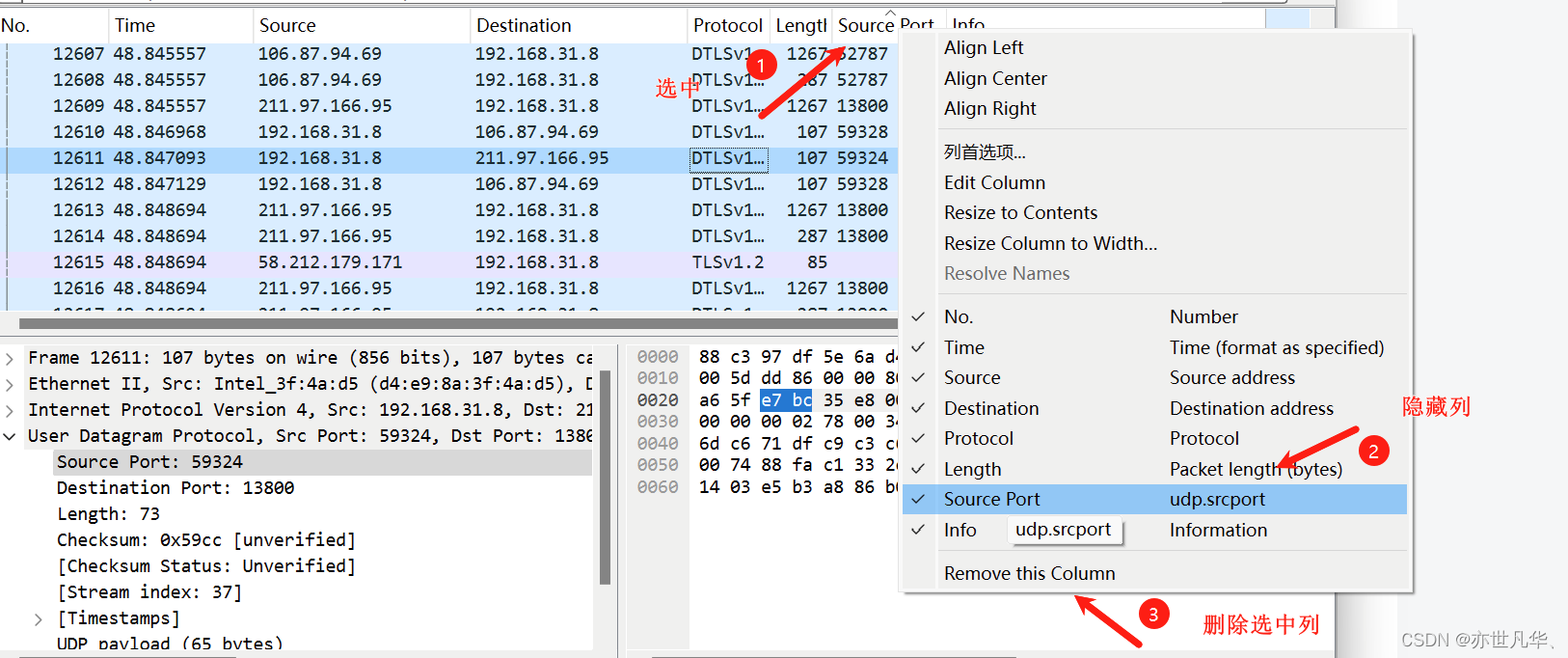 WireShark 安装指南：详细安装步骤和使用技巧,第30张