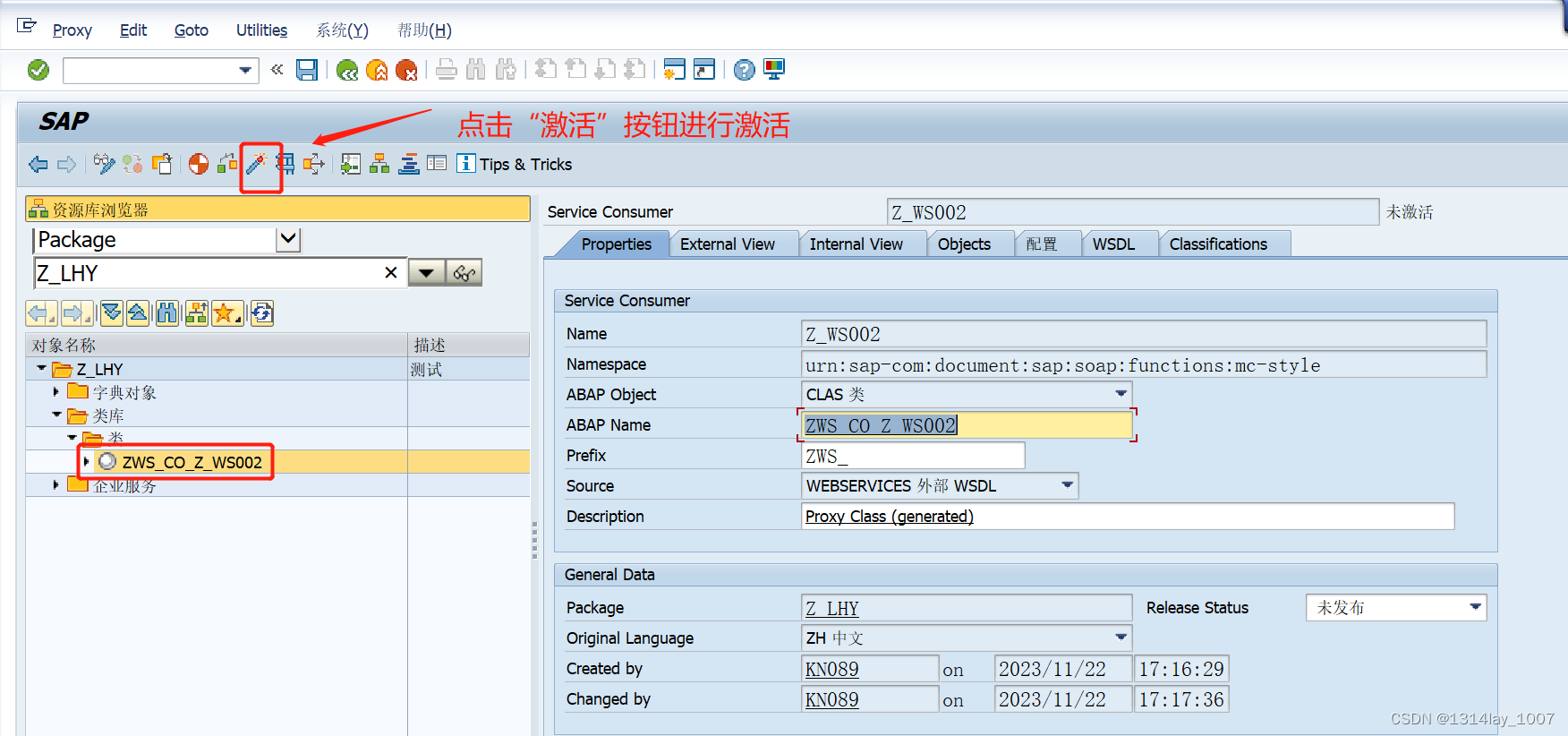 ABAP接口部分-Web Service提供者与消费者,在这里插入图片描述,第64张