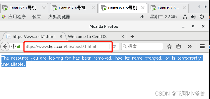 nginx Rewrite,第16张