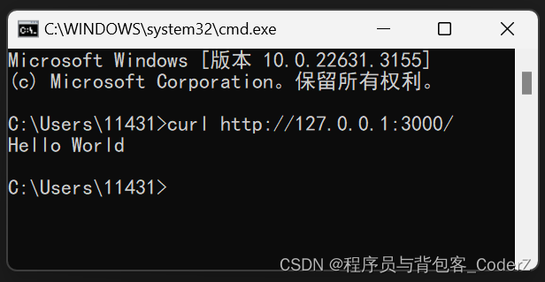 基于VSCode安装Node.js开发环境,第7张