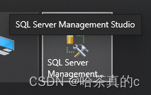 【SQL Server】2. 将数据导入导出到Excel表格当中,在这里插入图片描述,第22张