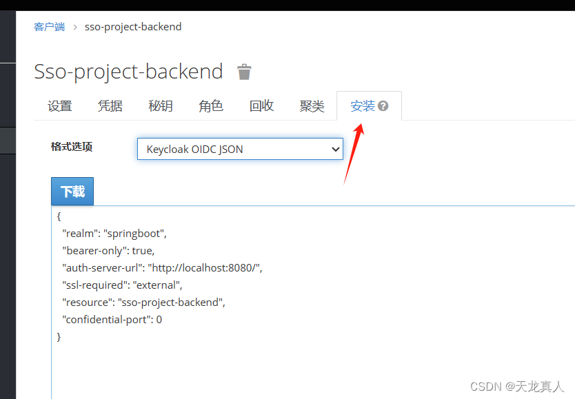 最详细的Keycloak教程（建议收藏）：Keycloak实现手机号、验证码登陆——（三）基于springboot&keycloak+vue的前后端分离项目,配置,第2张