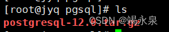 Linux下PostgreSQL-12.0安装部署详细步骤,第2张