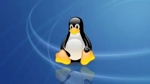 【Linux系列】Linux判断架构信息,在这里插入图片描述,第2张