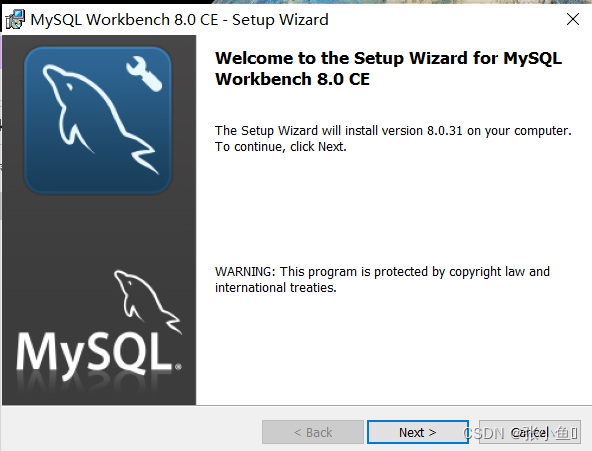 MySQL以及MySQL workbench的安装与配置【超详细安装教程】以及文本文件如何转换成.ini文件，以及一些问题解答,第20张