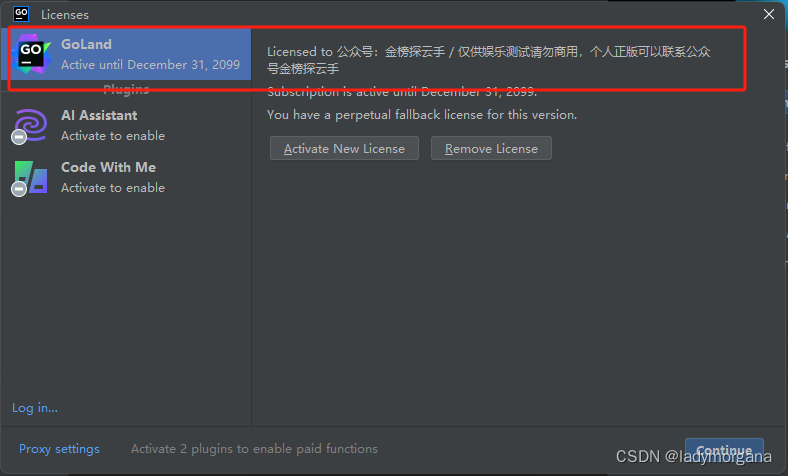 2024 GoLand激活，分享几个GoLand激活的方案,请添加图片描述,第30张