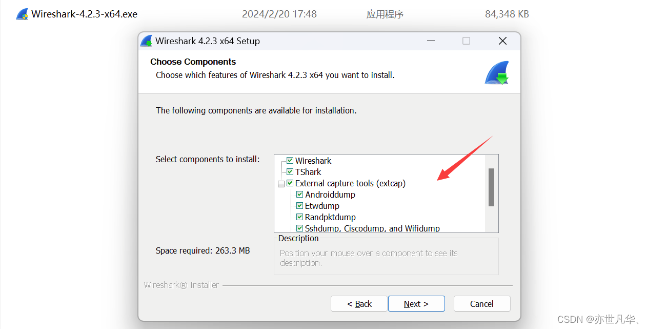 WireShark 安装指南：详细安装步骤和使用技巧,第6张