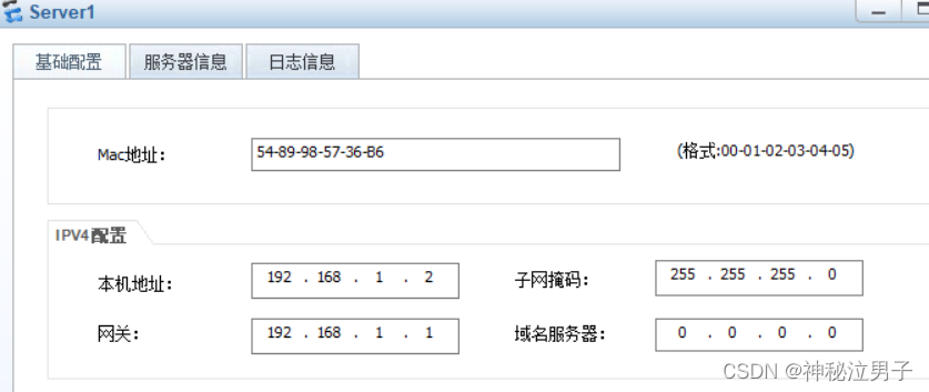 华为ensp中nat server 公网访问内网服务器,第6张