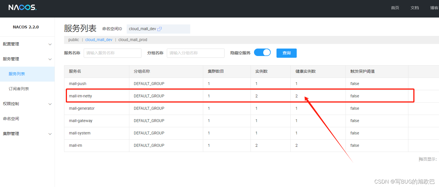 springCloudGateway+Nacos注册与转发Netty+WebSocket,第8张