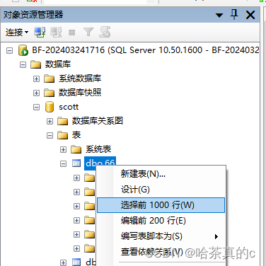 【SQL Server】2. 将数据导入导出到Excel表格当中,在这里插入图片描述,第25张