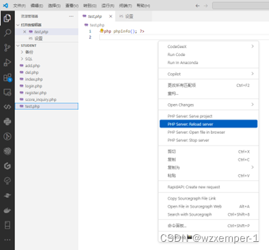 大白话，visual studio code配置PHP+解决PHP缺少mysqli问题,第20张