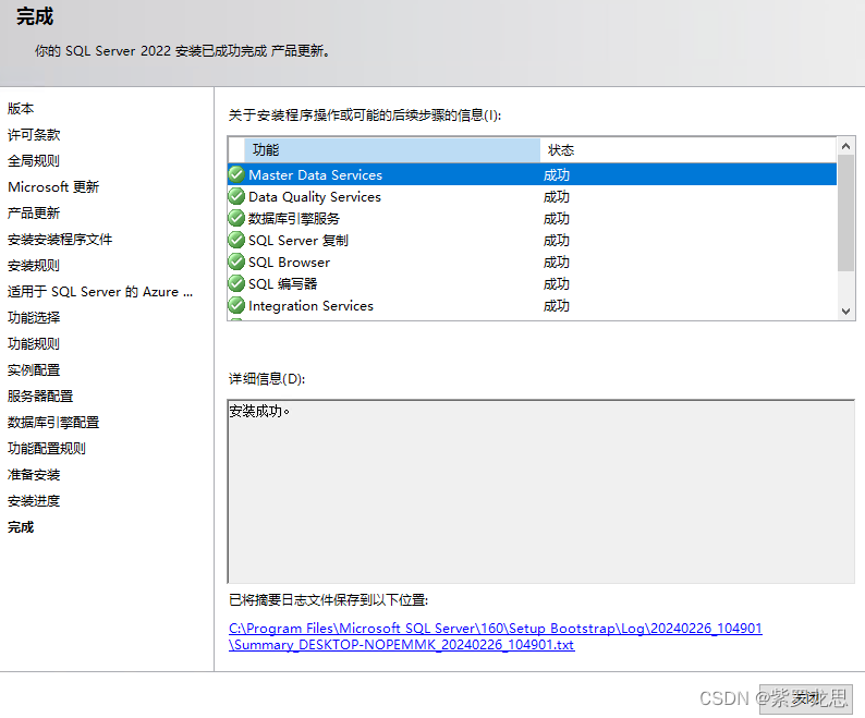 SQL Server2022版详细安装教程（Windows）,第20张