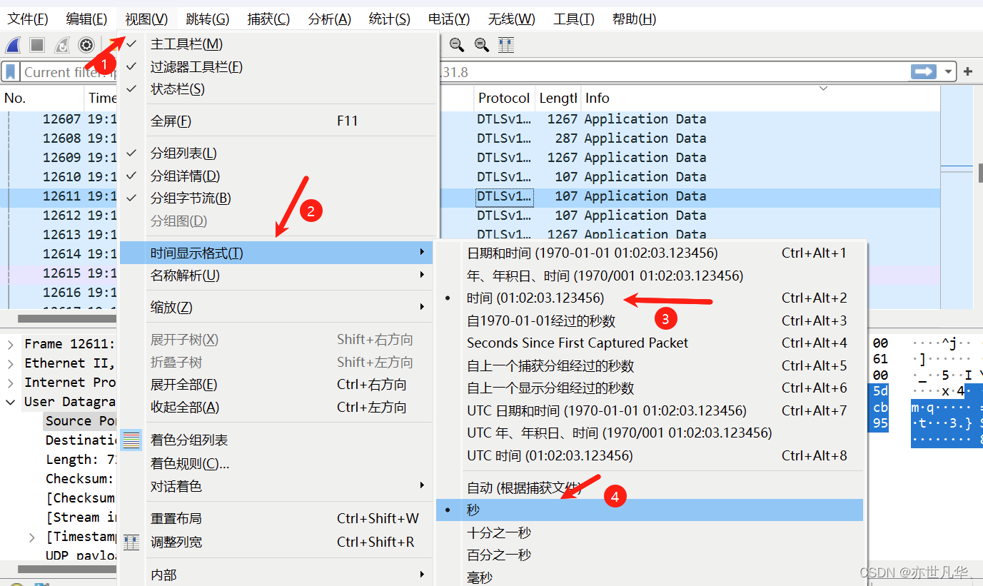 WireShark 安装指南：详细安装步骤和使用技巧,第31张