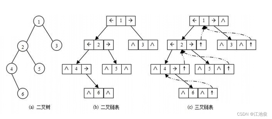 二叉树：数据结构中的灵魂,在这里插入图片描述,第13张